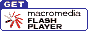 Download Flash Plug-In